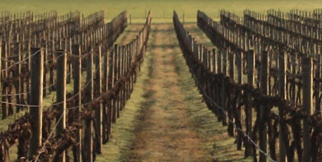 <span>心糖VLOG视频免费观看甲子影视</span> July-Augest